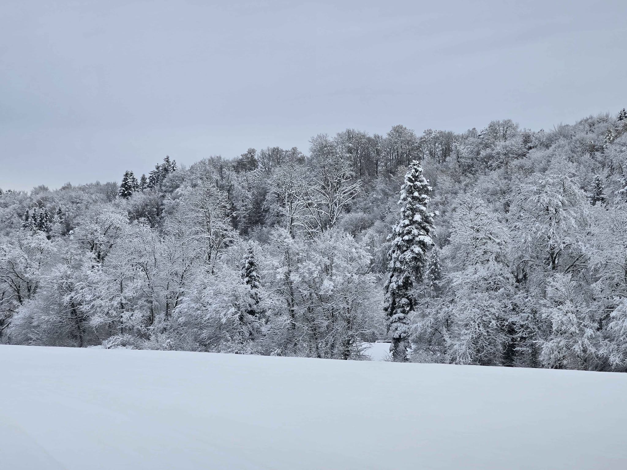 Aus dem Rahmen gefallen